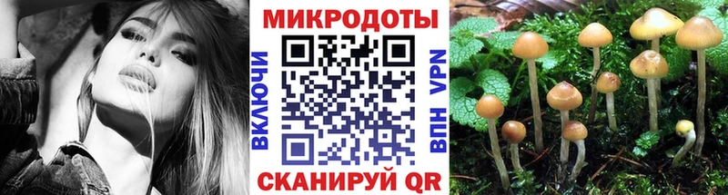 наркота  omg как войти  Псилоцибиновые грибы прущие грибы  Гай 