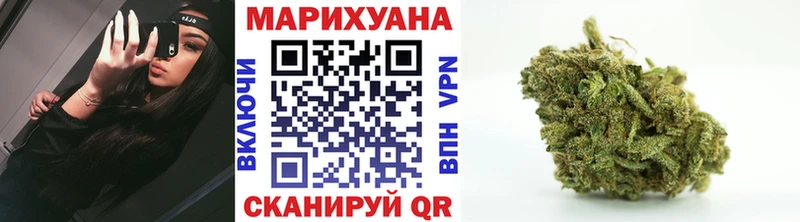 где найти наркотики  площадка клад  Каннабис индика  Гай 